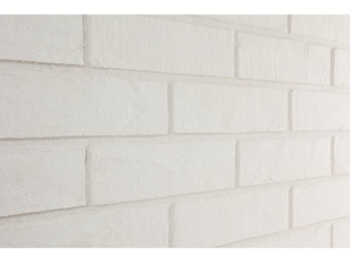 DOVER   (599,-Kč/m2)