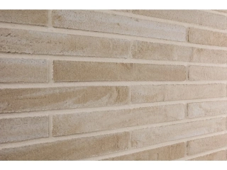 PISA   (649,- Kč/m2)